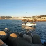 Sunao Lda Nazaré